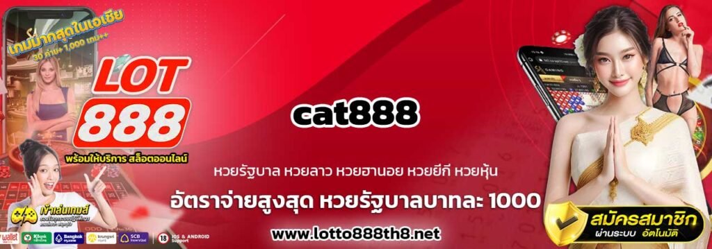 cat888